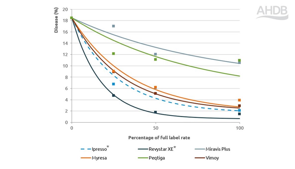 Brown rust disease fungicide performance response chart 2024